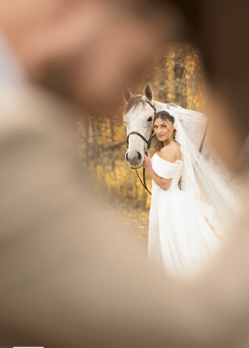 “Wild Elegance: Trash the Dress with Horses”