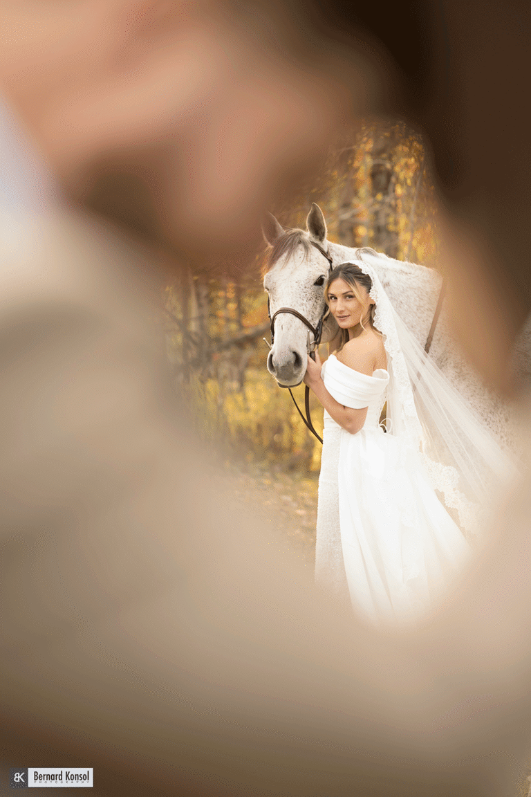 “Wild Elegance: Trash the Dress with Horses”
